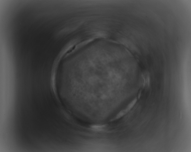 X0000100900051200807081111