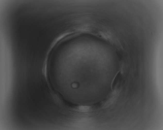 X0000100900052200807081111