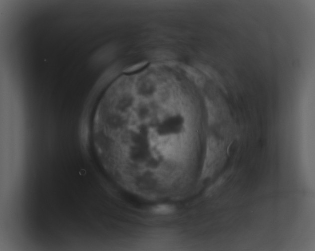 X0000100900053200807081111