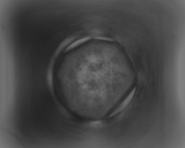 X0000100900054200807081111