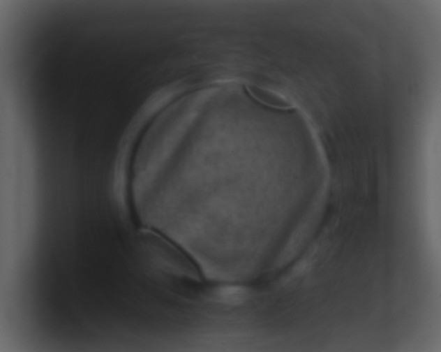 X0000100900055200807081111