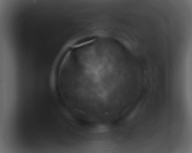 X0000100900056200807081111