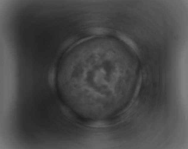 X0000100900058200807081111