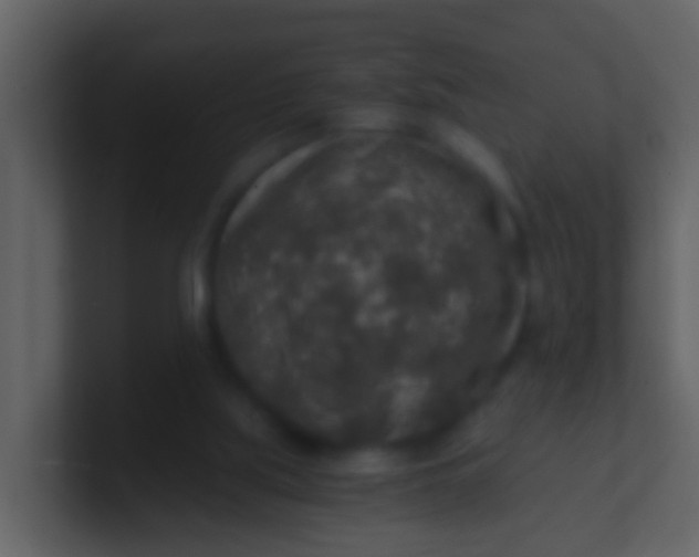 X0000100900059200807081111