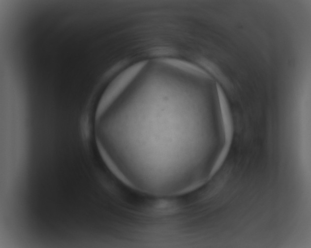 X0000100900060200807081111