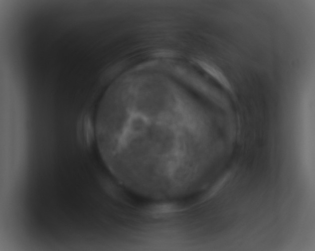 X0000100900061200807081111