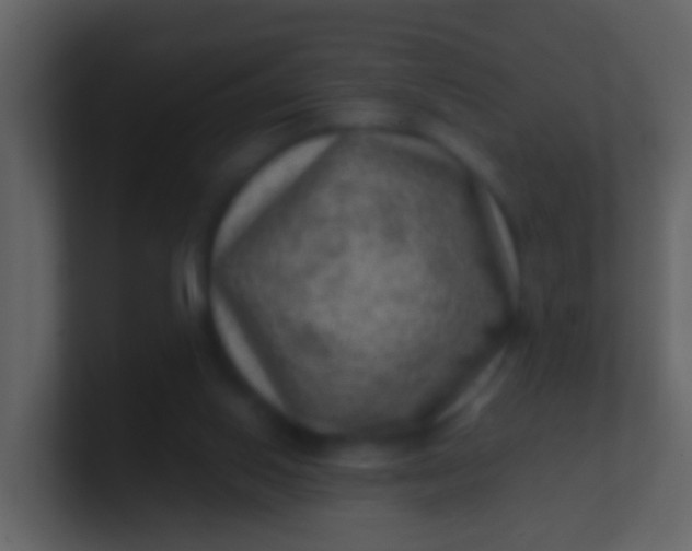 X0000100900062200807081111