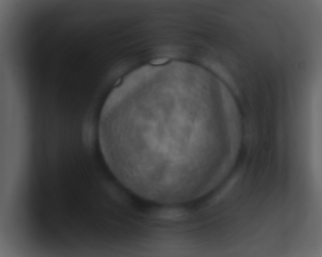 X0000100900063200807081111