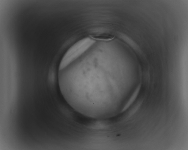 X0000100900064200807081111