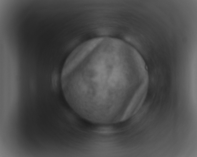 X0000100900066200807081111