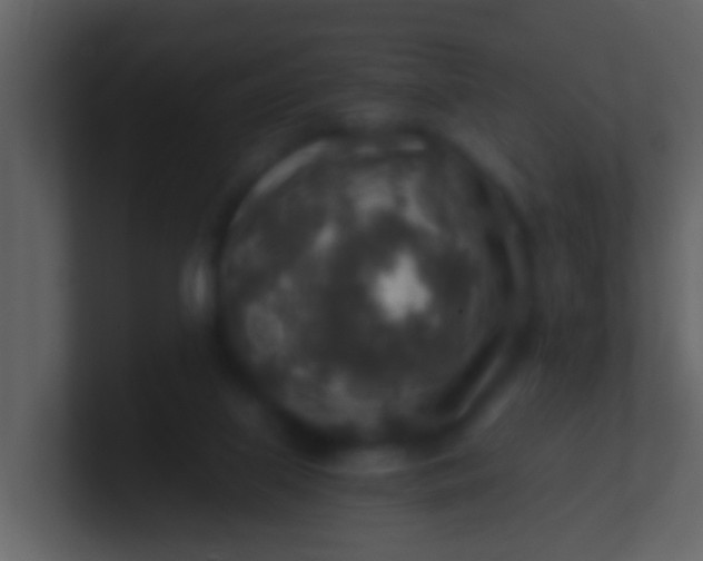 X0000100900067200807081111