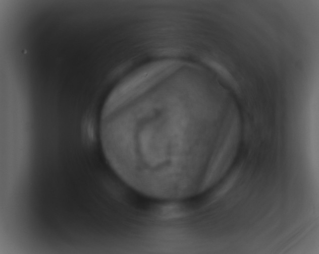 X0000100900068200807081111