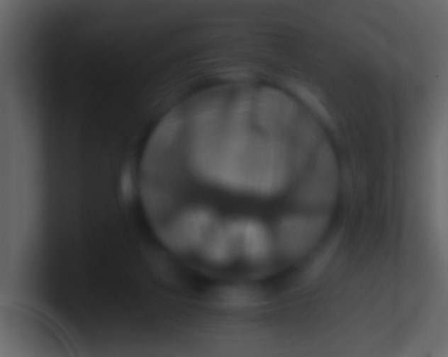 X0000100900069200807081111