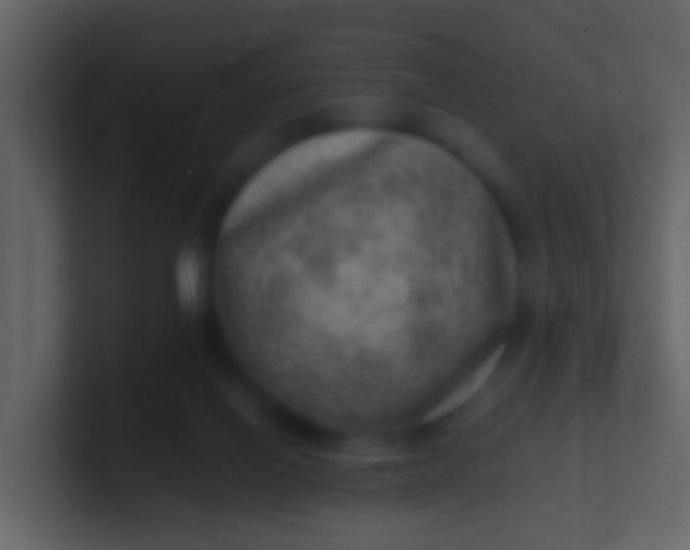 X0000100900070200807081111