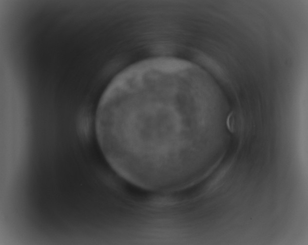 X0000100900071200807081111