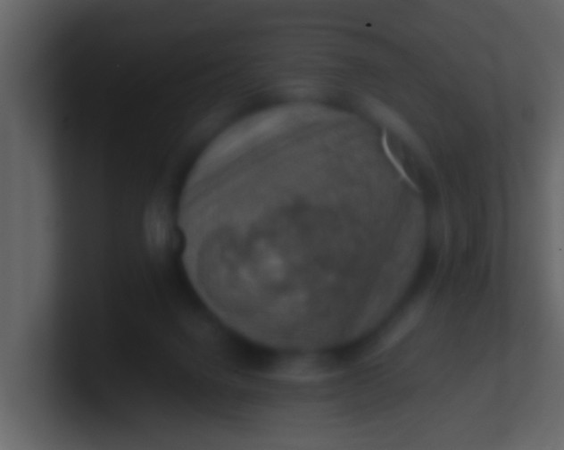 X0000100900072200807081112