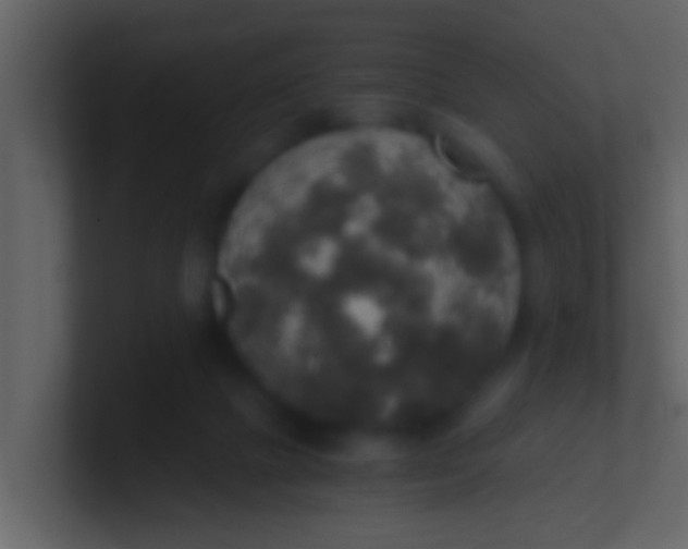 X0000100900073200807081112