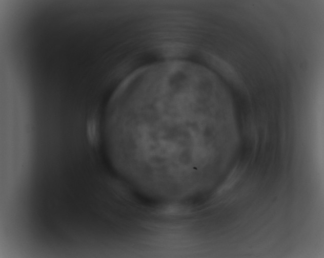 X0000100900074200807081112