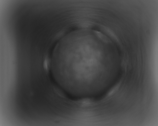 X0000100900076200807081112