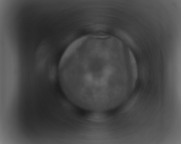 X0000100900077200807081112