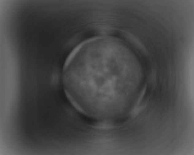 X0000100900078200807081112