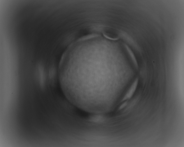 X0000100900079200807081112