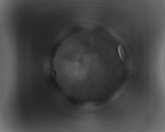 X0000100900080200807081112