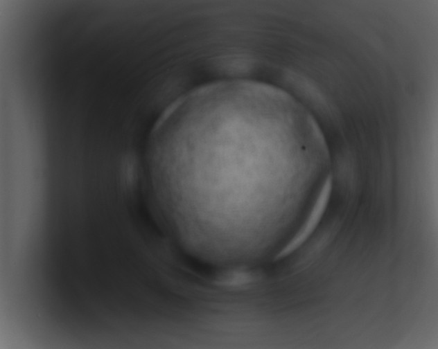 X0000100900083200807081112