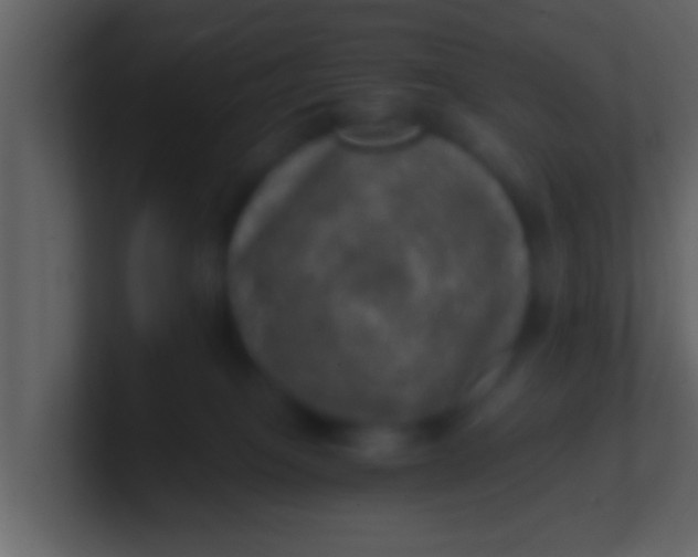 X0000100900085200807081112