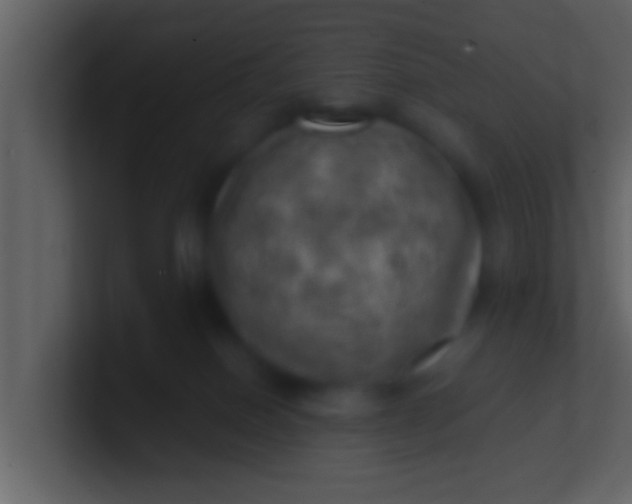 X0000100900086200807081112