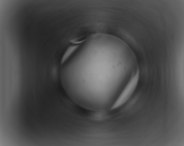 X0000100900088200807081112