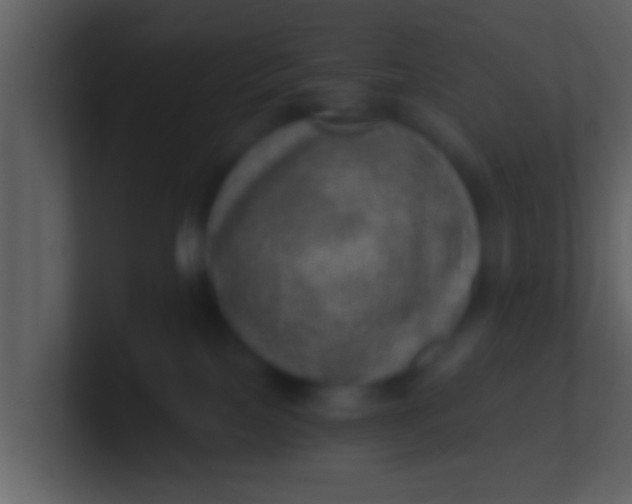 X0000100900089200807081112