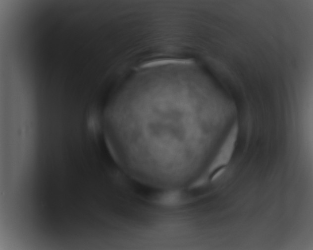 X0000100900090200807081112