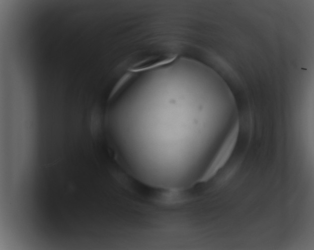 X0000100900092200807081112