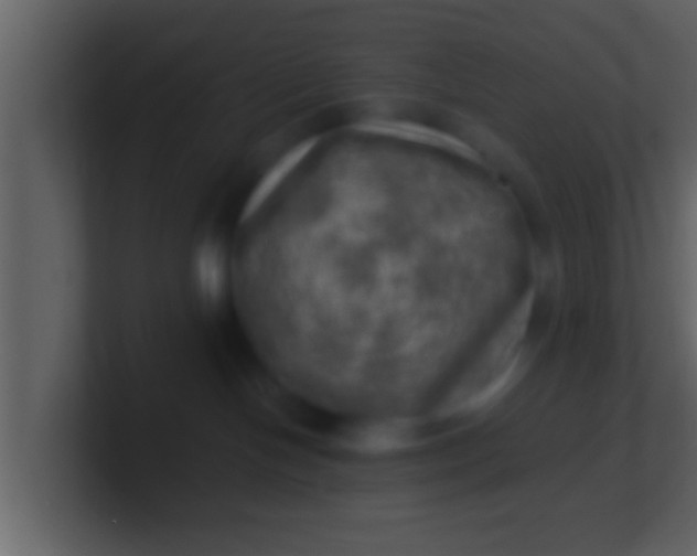 X0000100900094200807081112