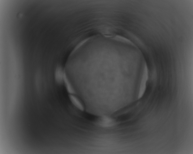 X0000100900095200807081112