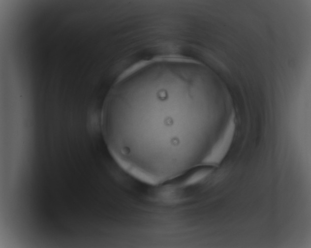 X0000100900096200807081112