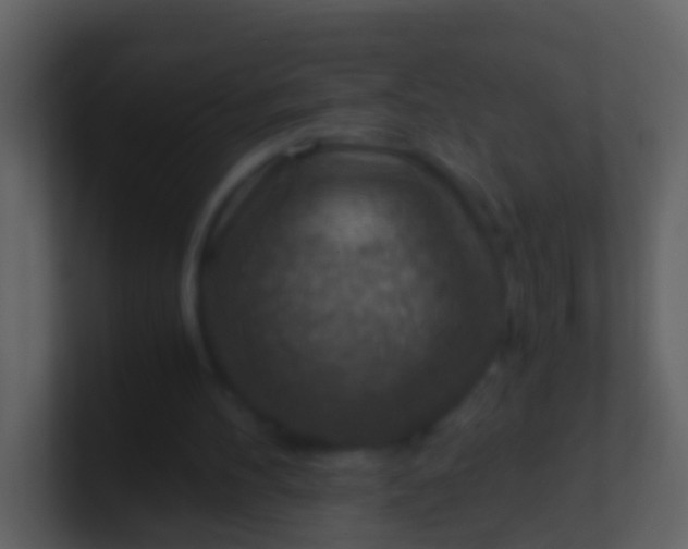 X0000100900100200807081111