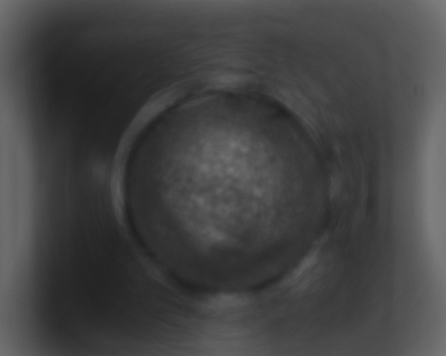 X0000100900101200807081111