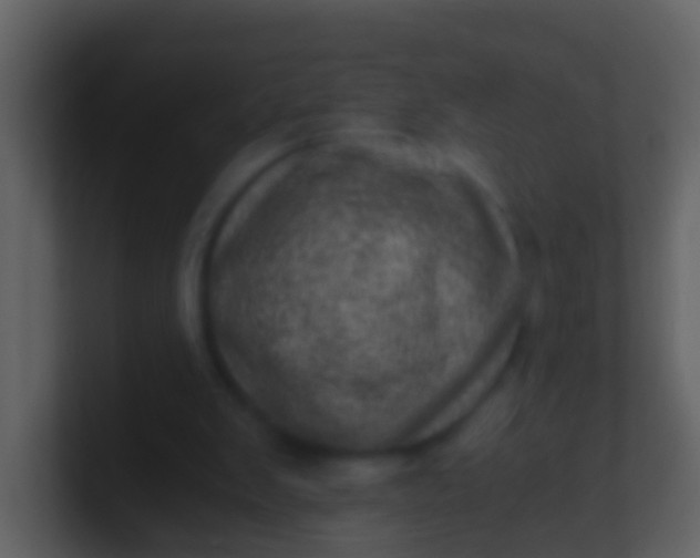 X0000100900103200807081111