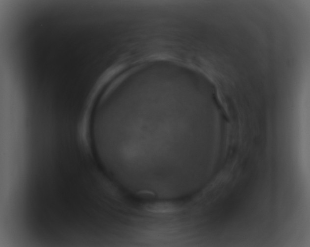 X0000100900104200807081111