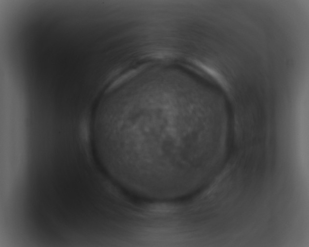 X0000100900105200807081111