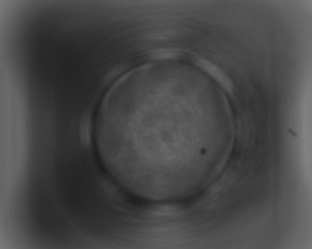 X0000100900107200807081111