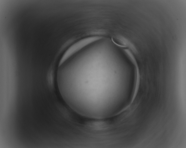 X0000100900108200807081111