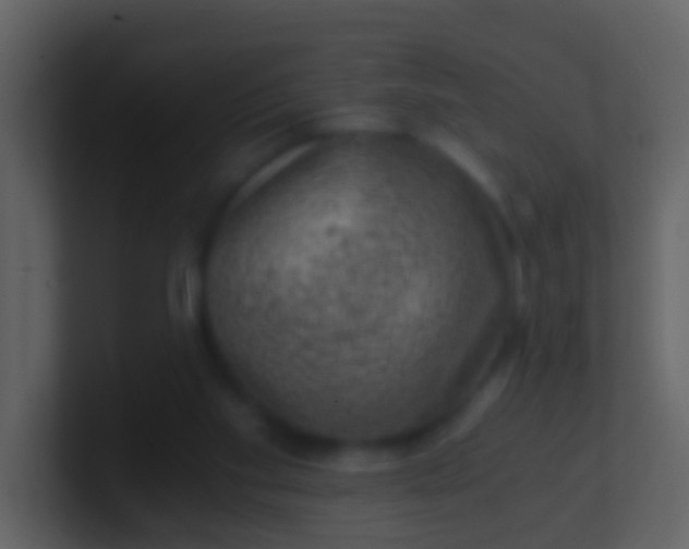 X0000100900109200807081111