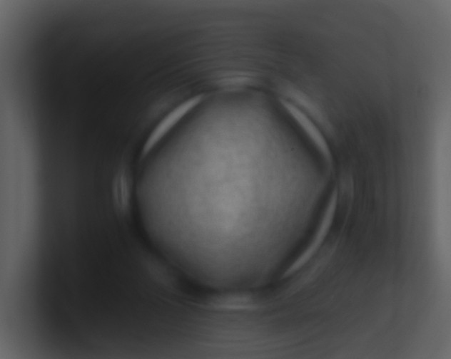 X0000100900110200807081111