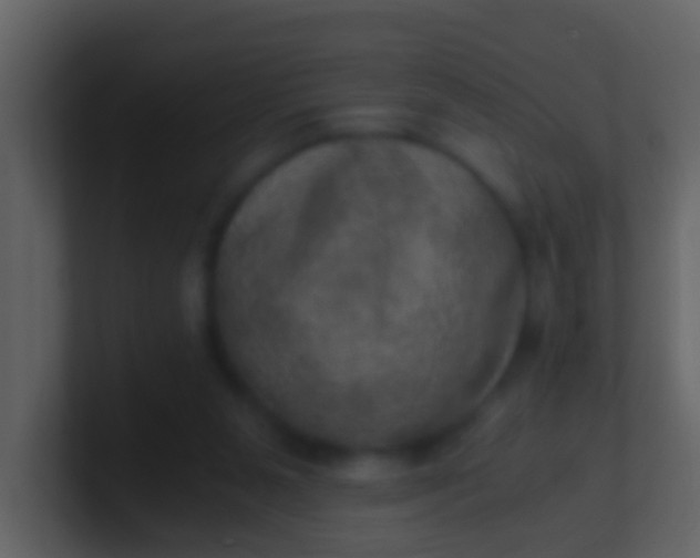 X0000100900111200807081111