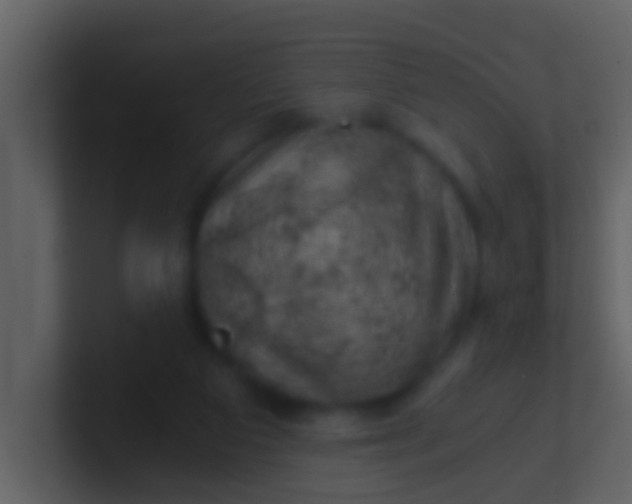 X0000100900113200807081111