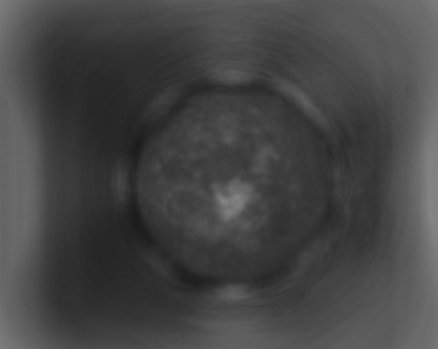 X0000100900114200807081111