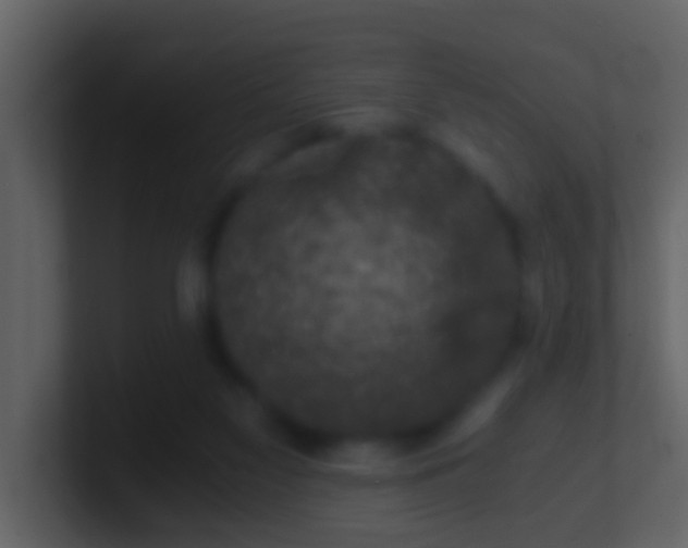 X0000100900117200807081111